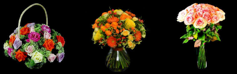 Dobra cvetličarna Moste, Ljubljana