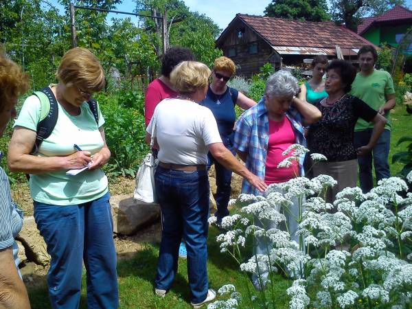 Društvo upokojencev Konjice
