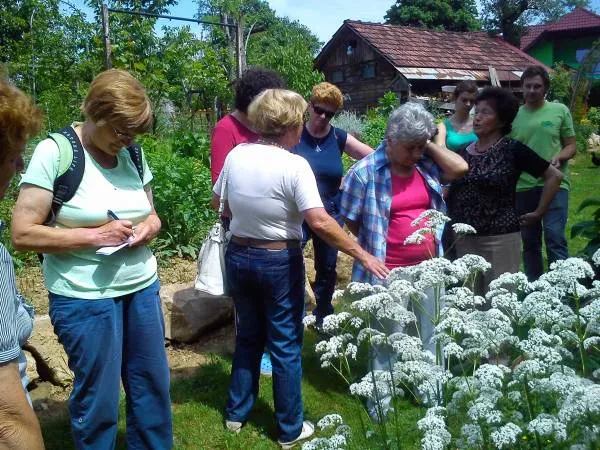 Društvo upokojencev Konjice