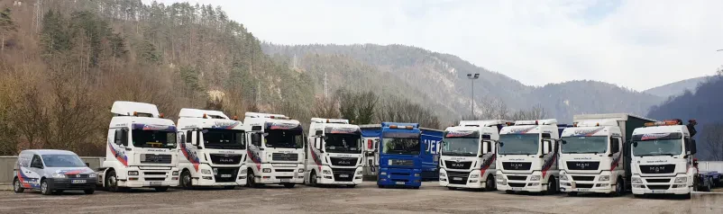 Izredni mednarodni prevozi tovora Slovenija