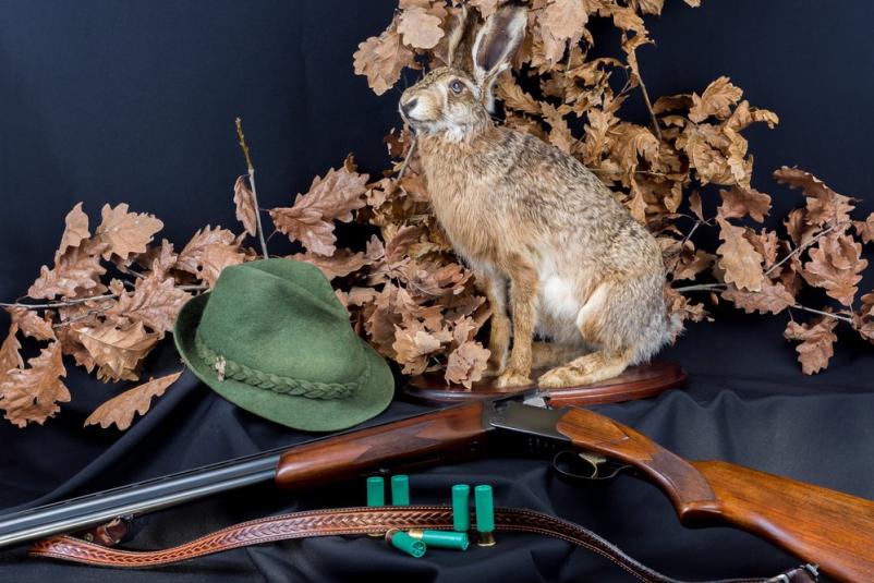 Trgovina z lovsko opremo Primorsko-Notranjska