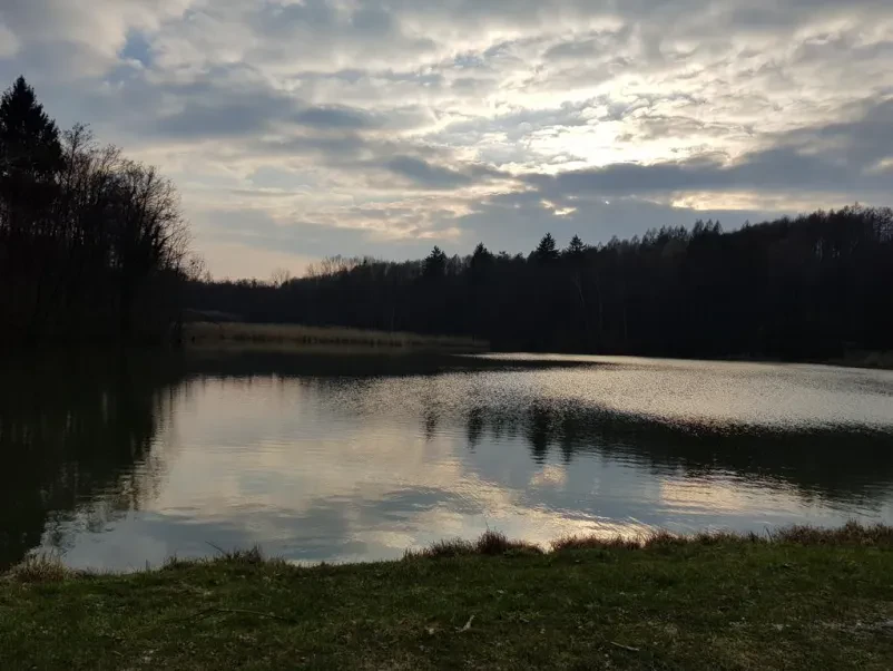 Wellness Ljutomer