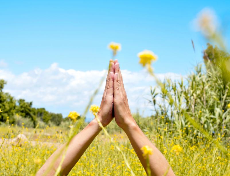 Zavod za zdravje in vitalnost Ljubljana, Osrednja Slovenija