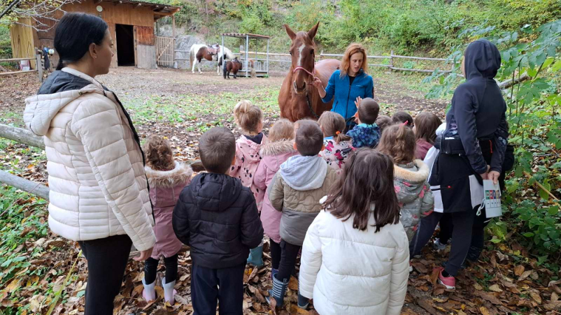 Delavnica in doživetja za otroke Savinjska, učenje skozi igro in naravo