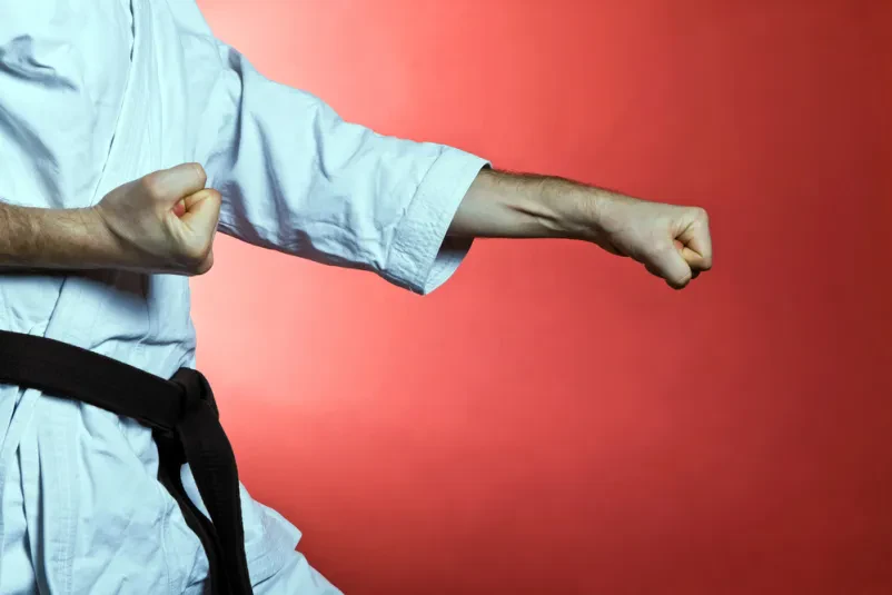 Sankukai karate Ljubljana