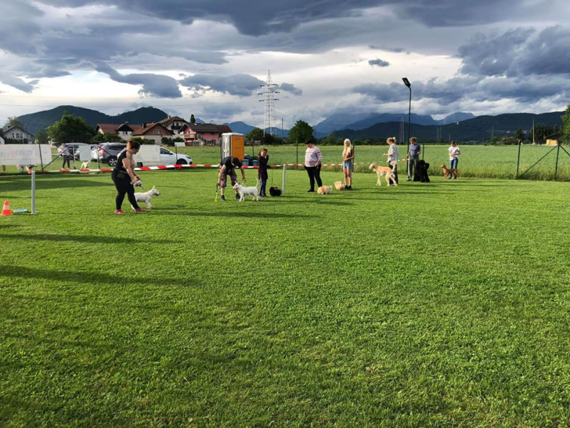 Ugoden najem pasjega poligona Ljubljana