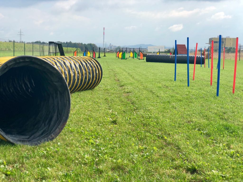 Poceni najem pasjega poligona Osrednja Slovenija