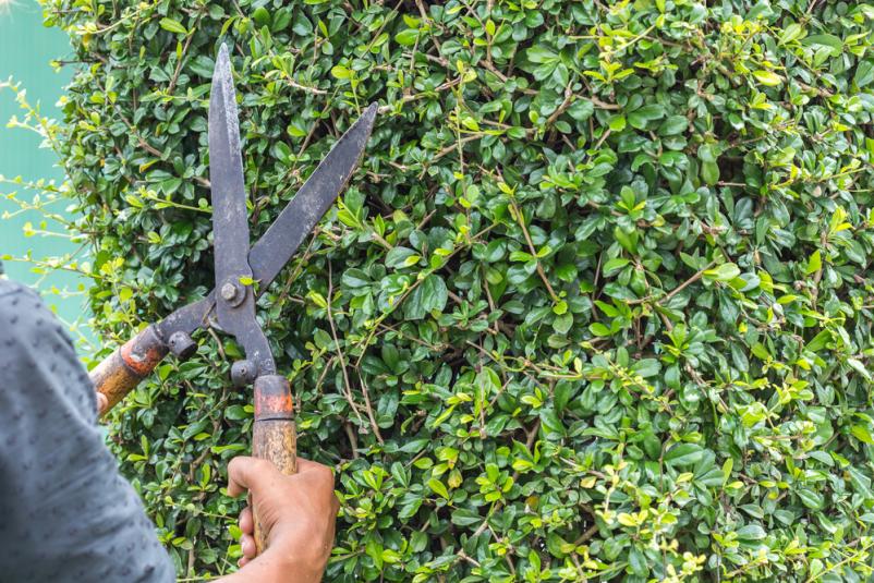 Urejanje okolice Zasavje