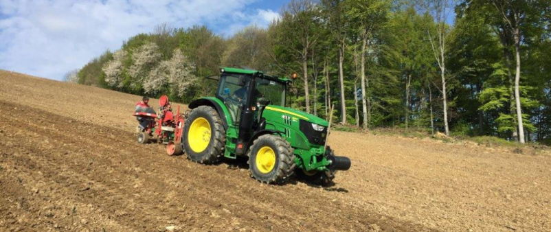 Vinogradniška oprema Slovenija za učinkovito obrezovanje in podporo trt