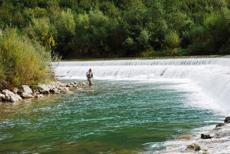 Muharjenje Savinjska