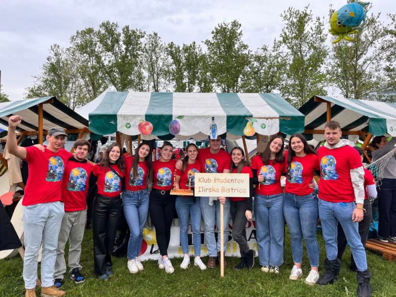 Dogajanje za mlade Ilirska Bistrica, Notranjska