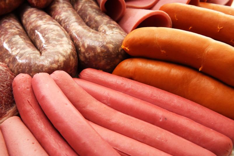 Žar piknik program Ljubljana