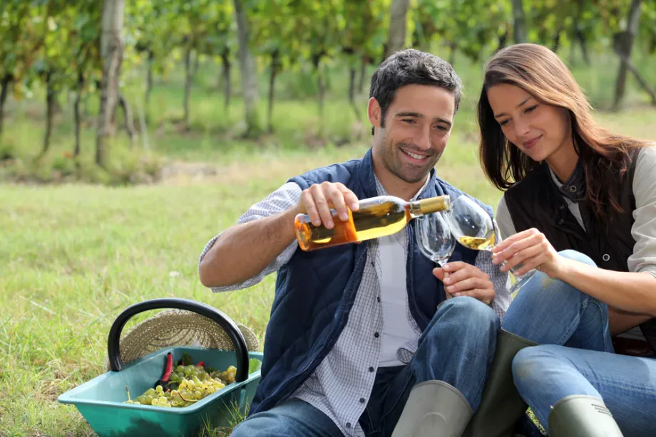 Kako shranjevati vino, da ohrani svojo vrednost