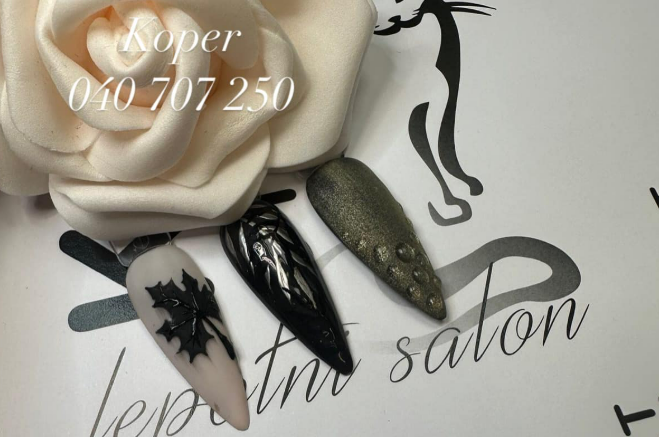 Profesionalna manikura