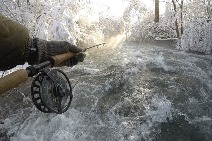 Organized hucho fishing Slovenia