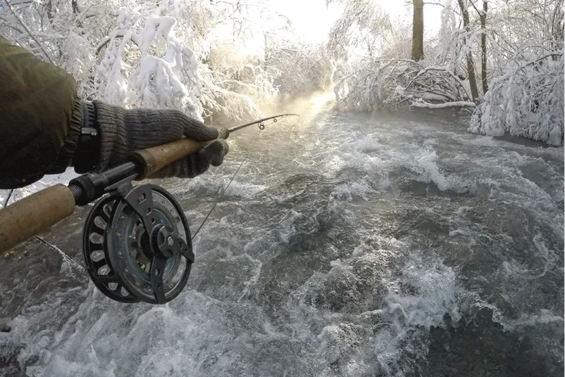 Organized hucho fishing Slovenia