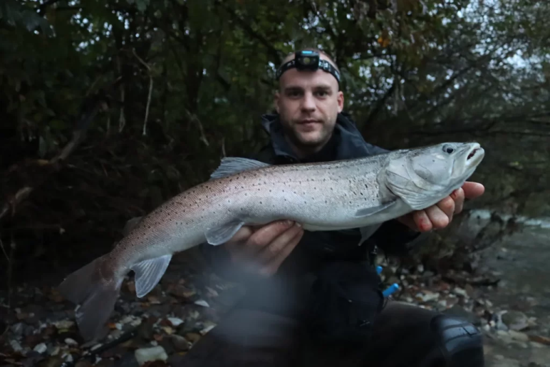 Winter hucho fishing trips Slovenia