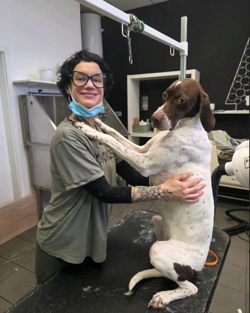 Salon za pse Ljubljana