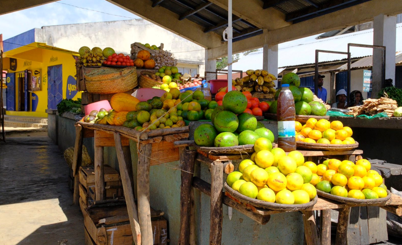 Odkrijte skrivnosti sveta: potovanja v Kenijo, Namibijo, Madagaskar in Indijo