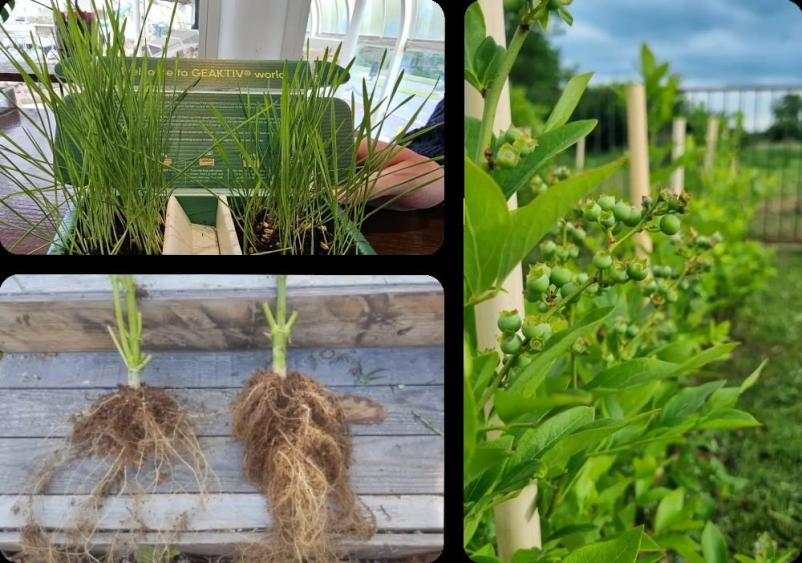 Poceni prodaja gnojil Slovenija