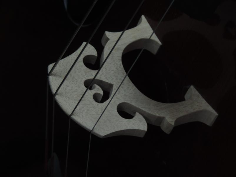 Ugodna klasična kitara Slovenija