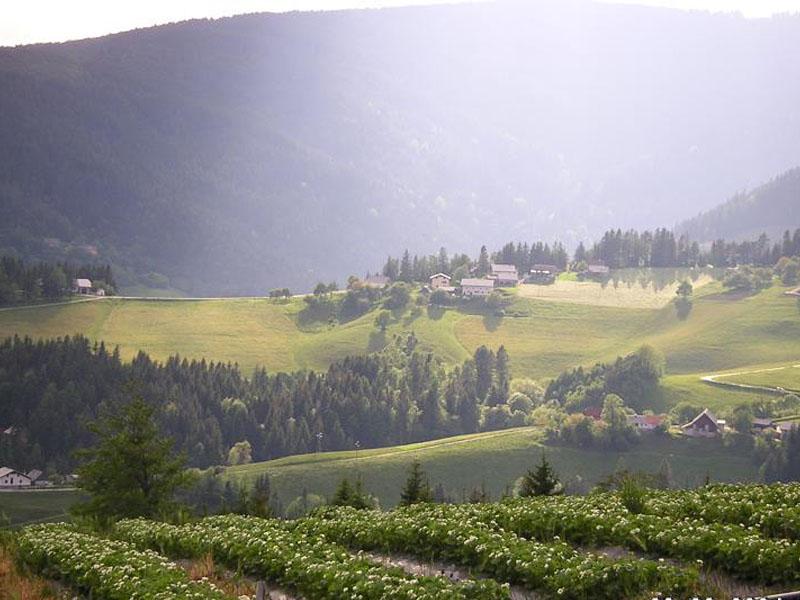 Ugoden apartma Rogla