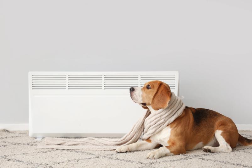 Ugodna montaža radiatorjev Podravska