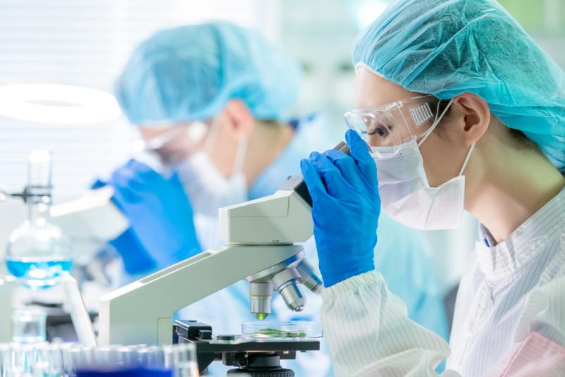 Zdravstvene ambulante Slovenska Bistrica