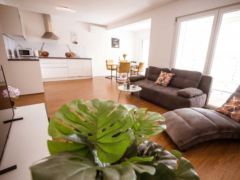 Affordable apartment rental Moravske toplice