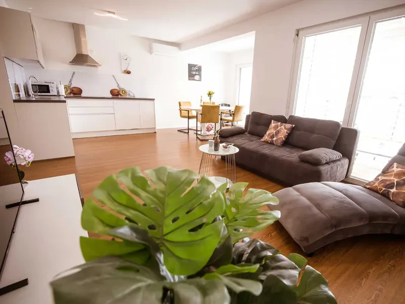 Affordable apartment rental Moravske toplice