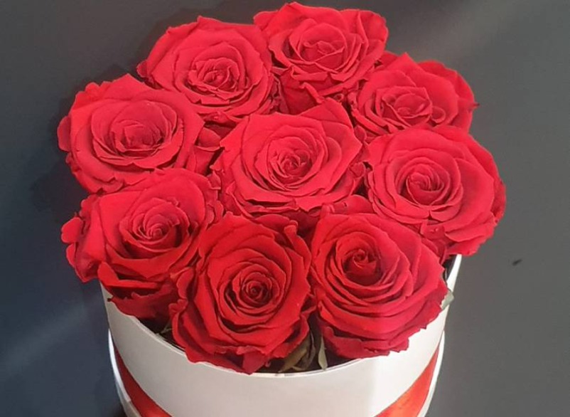 Cvetlični aranžmaji in rezano cvetje,  Maribor, Kamnica