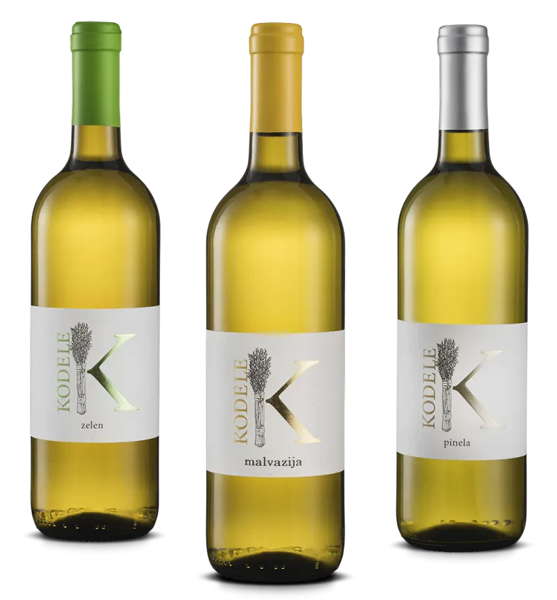 Vinske degustacije z narezkom ali brez