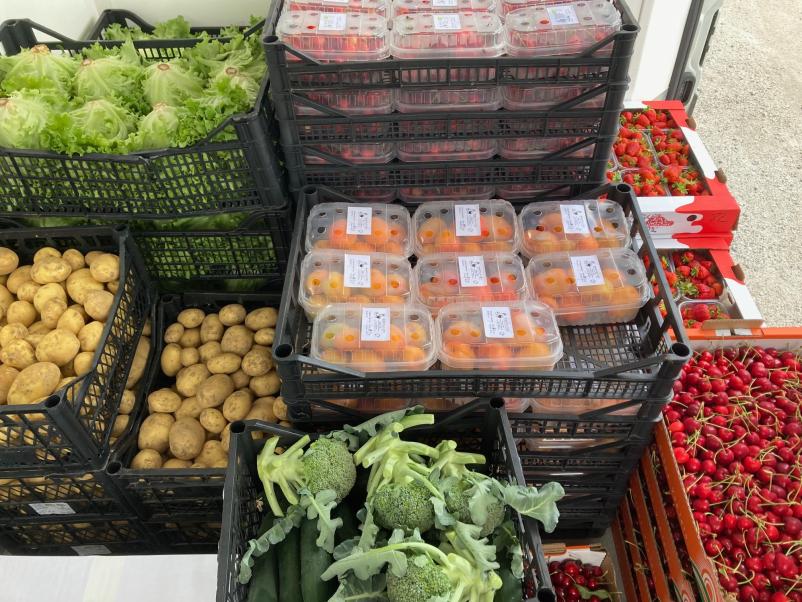 Domače sadje in zelenjava Goriška