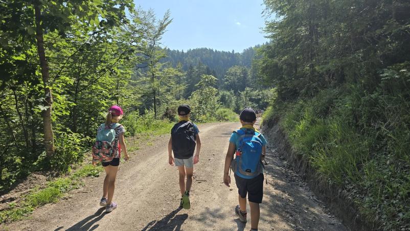 Taborniški rod Koroška