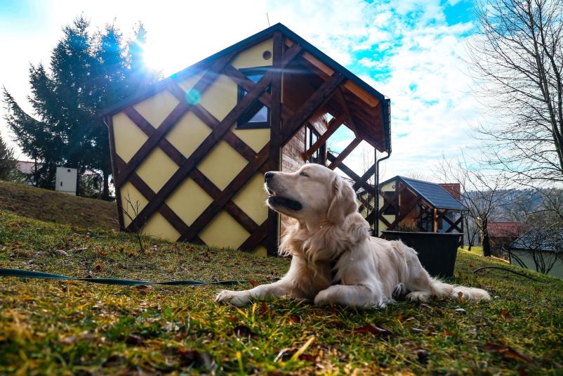 Družinski apartma Moravci