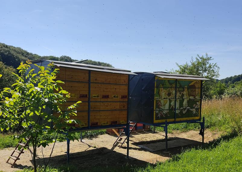 Družinski apartma Mala Nedelja