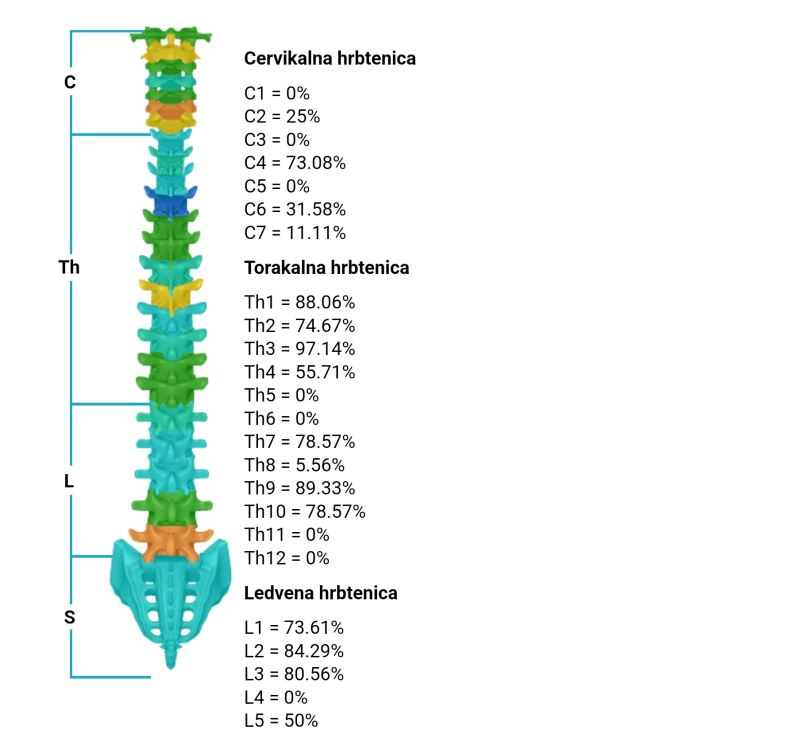 Frekvenčne terapije za ljudi Cerklje Gorenjska za notranje ravnovesje