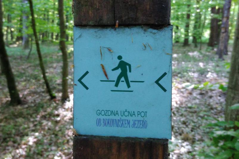 Obiščite jezera v Prekmurju