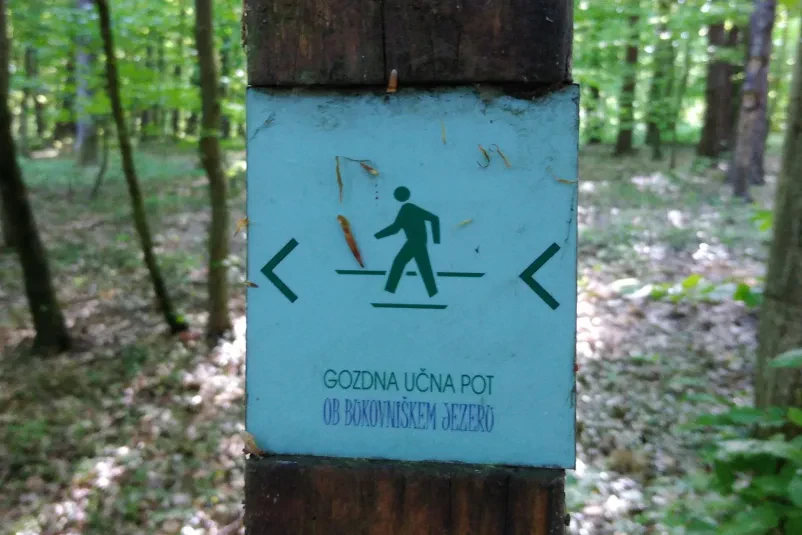 Obiščite jezera v Prekmurju