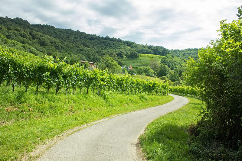 Prostor za zaključene skupine na turistični kmetiji Goriška - Turistična kmetija Štanfel
