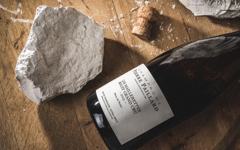 Prodaja kakovostnega vina Nova Gorica