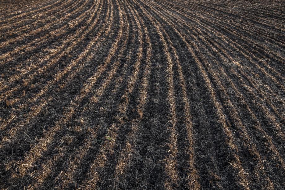 Mehanska odstranitev podrasti kot ključna prednost pri urejanju terena