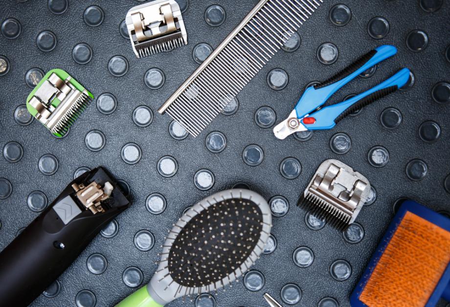 Nega dlake kot dolgoročna investicija v dobro počutje psa