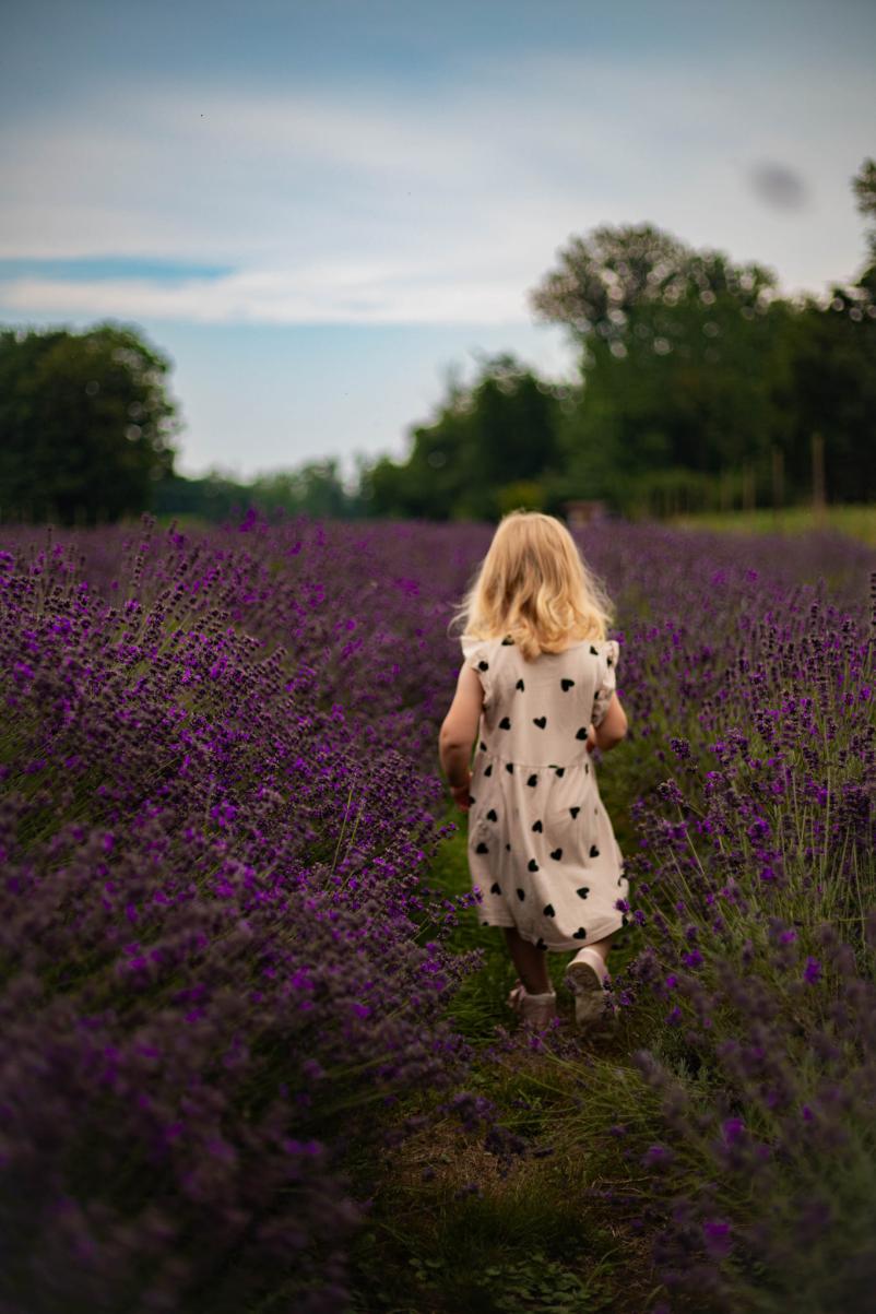 Naravni izdelki iz sivke Pomurje