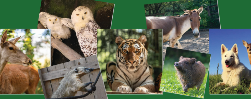 Obiščite nas, privat živalski vrt