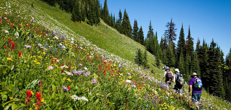 Well-being programi za HR oddelke in vodje