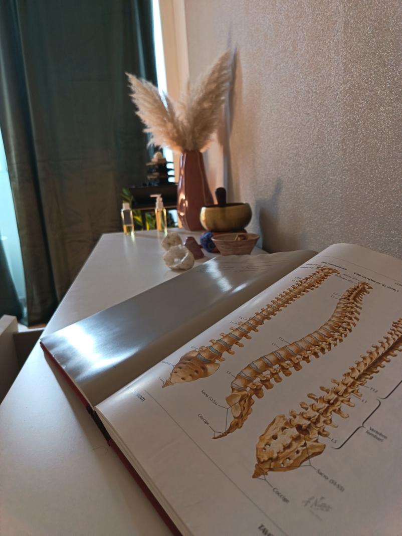 Terapevtske masaže Koper, Primorska