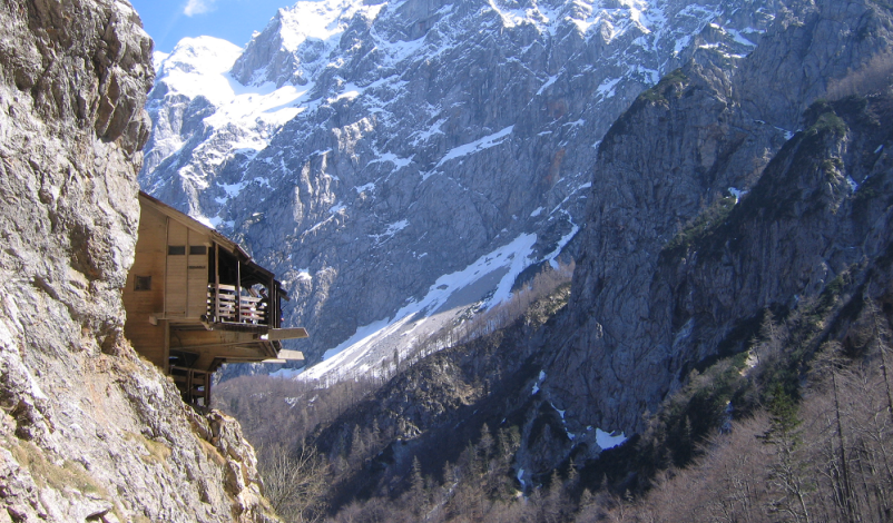 Planinsko društvo Celje, Savinjska, varnost, narava in izobraževanje