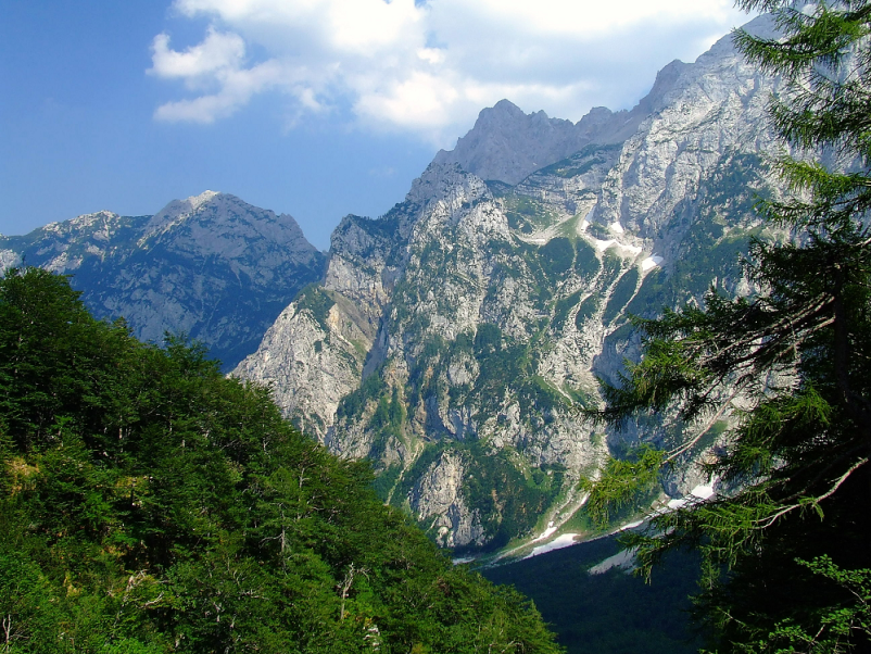 Vpis v planinsko društvo Celje, Savinjska, pohodi in izleti