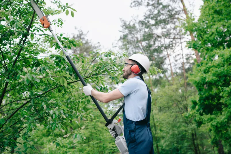 Arboristika in urejanje okolice Litija, Ljubljana